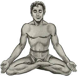 йога и простатит - сиддхасана
